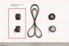 FAI AutoParts TBK223 Timing Belt Kit